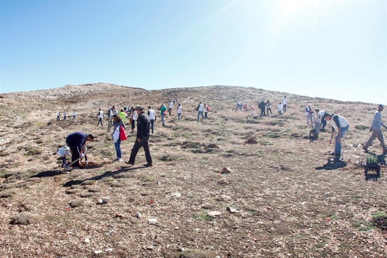 Azadea Foundation Plants 6,000 Trees  at its 3rd Plantation Day